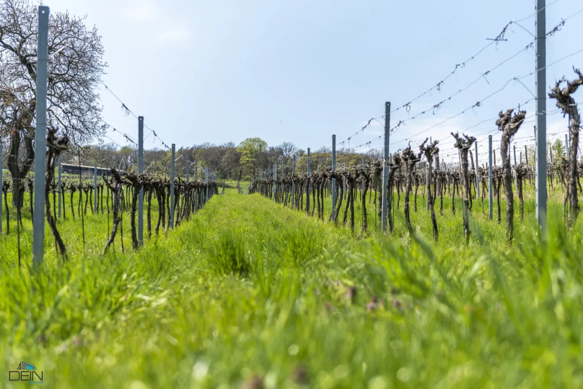 +NEU+ TRAUMHAFTE BAUGRUNDSTÜCKE FÜR EINFAMILIEN-/DOPPELHÄUSER IN KRITZENDORF! - Bild 1