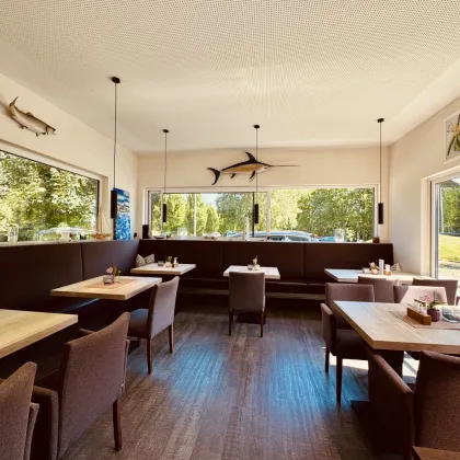 Gut eingeführtes Fischrestaurant in bester Frequenzlage nahe dem Toscanapark in Gmunden - Bild 2