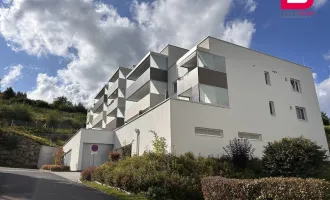 Erstbezug in Reichenau: Traumhafte 3-Zimmer-Wohnung mit Loggia & Garage!