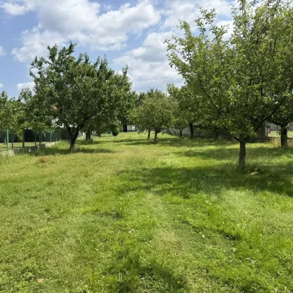 Historisches Anwesen mit 2.985m² großem Grundstück in Kittsee – ideal auch für Bauträger - Bild 2