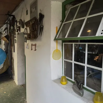 Bauträgergrundstück in Kittsee – Großflächige Liegenschaft mit Altbestand und Entwicklungspotenzial - Bild 3