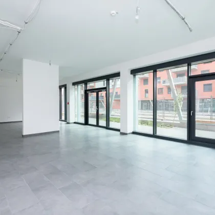 Vielseitig nutzbare Geschäftsfläche I Erstbezug I Unbefristet I Stadtquartier Berresgasse - Bild 3