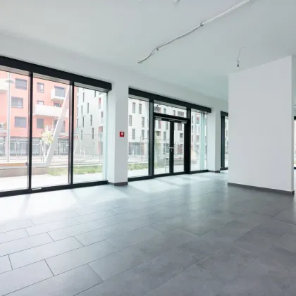 Vielseitig nutzbare Geschäftsfläche I Erstbezug I Unbefristet I Stadtquartier Berresgasse - Bild 2