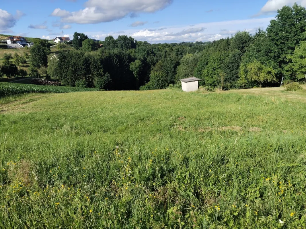 Sonniges Grundstück mit Wiese und Wald in Ruhelage in der Thermenregion! - Bild 1