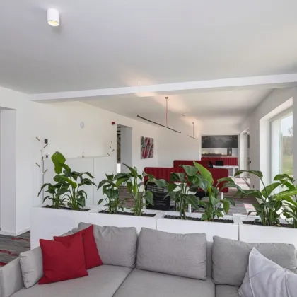 Moderne Bürohaus bzw. Praxisgemeinschaft mit Topausstattung auf Eigengrund - Bild 2