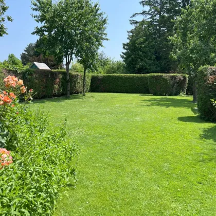 sehr gepflegter, winterfester Ferienbungalow auf Pachtgrund zu verkaufen - Bild 2