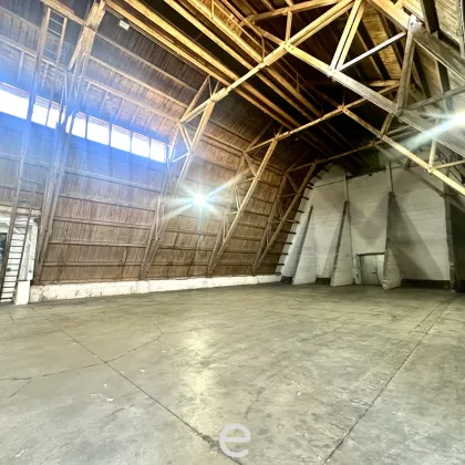 700m² Lagerhalle in Enns zu vermieten! - Bild 3