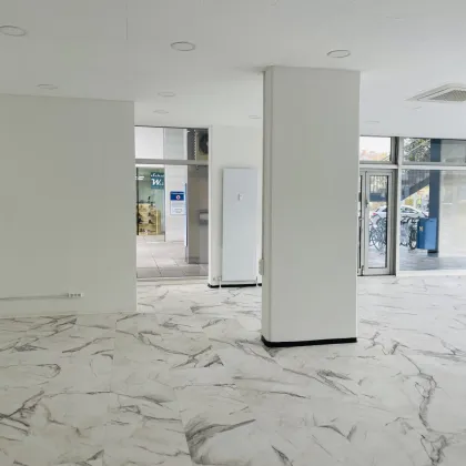 Repräsentatives Geschäftslokal in werbewirksamer Ecklage – Salzburg Süd - Bild 3