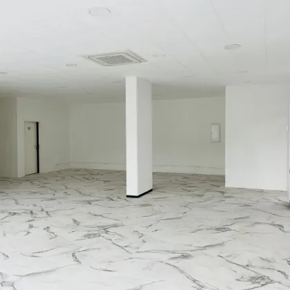 Repräsentatives Geschäftslokal in werbewirksamer Ecklage – Salzburg Süd - Bild 2