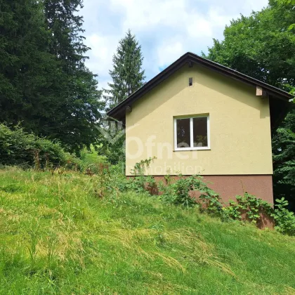 Wohnhaus in idyllischer Alleinlage - nur wenige Minuten in die Stadt - Bild 2