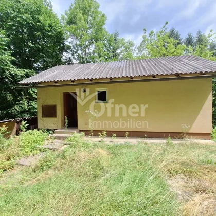 Wohnhaus in idyllischer Alleinlage - nur wenige Minuten in die Stadt - Bild 3