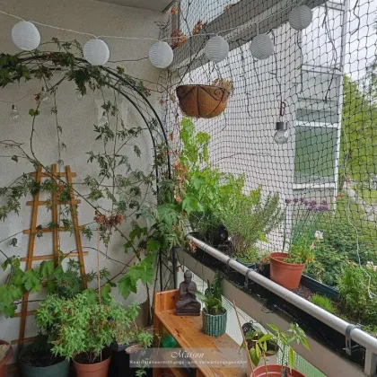 3-ZIMMER EIGENTUM MIT LOGGIA NÄHE SCHLOSS LAUDON – IHR NEUES ZUHAUSE! - Bild 3