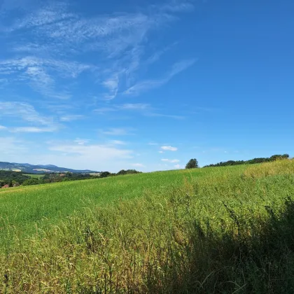 3,4 ha - aneinandergrenzende landwirtschaftliche Parzellen - Bild 2