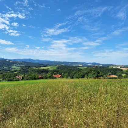 3,4 ha - aneinandergrenzende landwirtschaftliche Parzellen - Bild 3