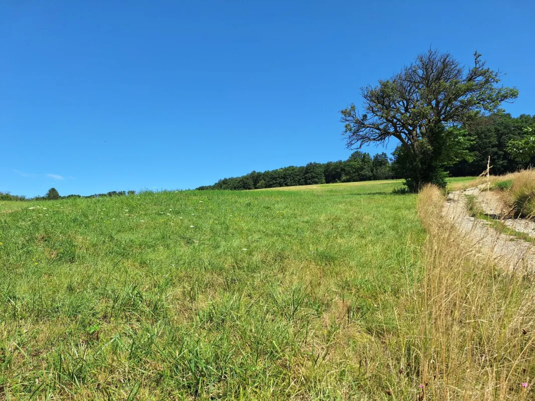 3,4 ha - aneinandergrenzende landwirtschaftliche Parzellen - Bild 1