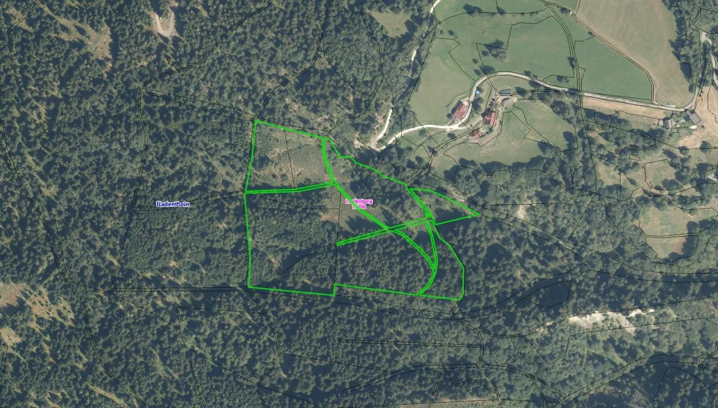 WALDGRUNDSTÜCKE AM LAUFENBERG ZU VERKAUFEN - Bild 1