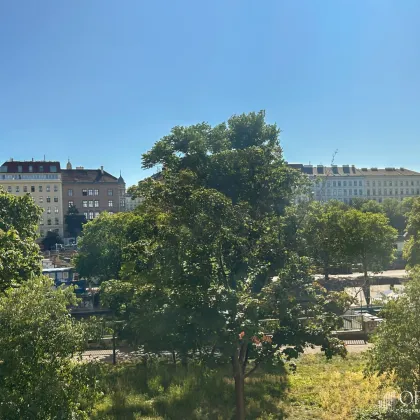 Lichtdurchflutete 2,5 Zimmer Wohnung in Topp Lage mit grosser Loggia und Grünblick auf Donaukanal! - Bild 3