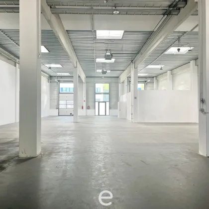 Office und Warehouse im Süden Wiens - Bild 2