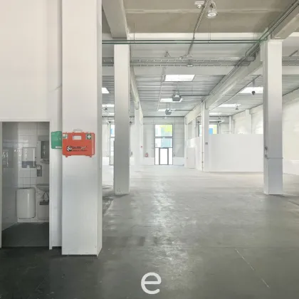 Office und Warehouse im Süden Wiens - Bild 3