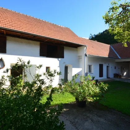 EINFAMILIENHAUS - ehemaliges BAUERNHAUS im Ortsverbund - Bild 3
