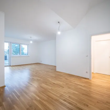 Lichterfüllter 3-Zimmer-Traum mit Balkon, teils hohen Decken & charmanten Schrägen in Breitenlee - Bild 2