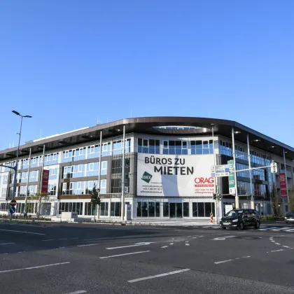 Beste Sichtbarkeit in Wiener Neudorf – Moderne Geschäftsfläche - Bild 2