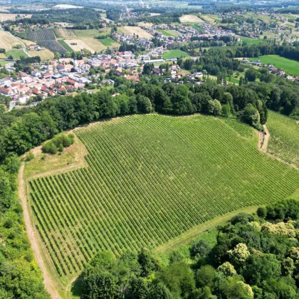 TRAUMHAFTES GRUNDSTÜCK AN DER SÜDSTEIRISCHEN WEINSTRASSE! Ein Ausblick der Ihnen die Sprache verschlagen wird - im schönsten Teil der grünen Steiermark. - Bild 2