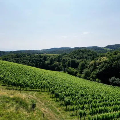 TRAUMHAFTES GRUNDSTÜCK AN DER SÜDSTEIRISCHEN WEINSTRASSE! Ein Ausblick der Ihnen die Sprache verschlagen wird - im schönsten Teil der grünen Steiermark. - Bild 3