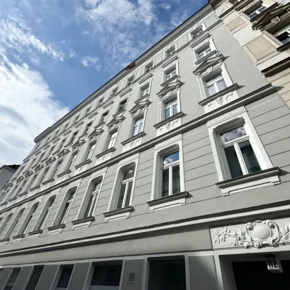 Singlehit im Erstbezug – Charmante 1-Zimmer-Wohnung - Bild 2