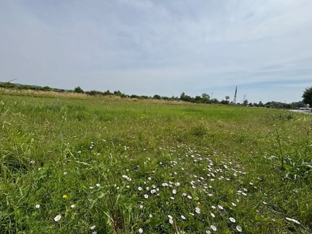 sonniges Baugrundstück in ruhiger Lage in Purbach - Bild 1