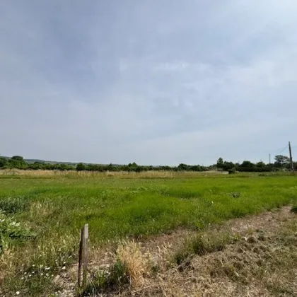 sonniges Baugrundstück in ruhiger Lage in Purbach - Bild 2