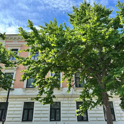 Gemütliche 1-Zimmer-Wohnung in 1160 Wien – ideal für Investoren! Nur 135.000 €! - Bild 2
