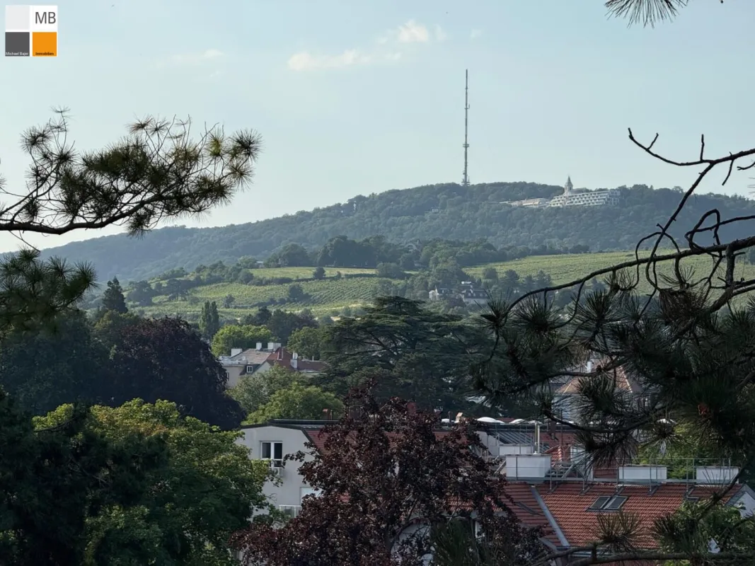 * Grünblick auf der Hohen Warte! * - Bild 1
