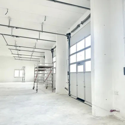 Top Deal // Hochwertige 50m² Neubauhalle mit elektrischem Tor und über 5m Deckenhöhe. - Bild 3
