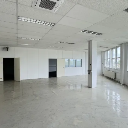 Attraktive Gewerbefläche in Schwechat: 359m², gepflegt, flexibel nutzbar - Bild 3