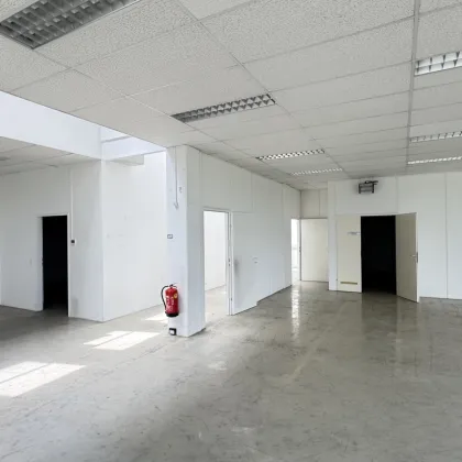 Attraktive Gewerbefläche in Schwechat: 359m², gepflegt, flexibel nutzbar - Bild 2