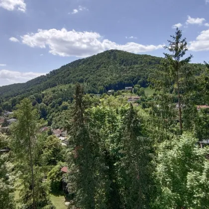 Große Eigentumswohnung mit herrlicher Aussicht - Bild 2