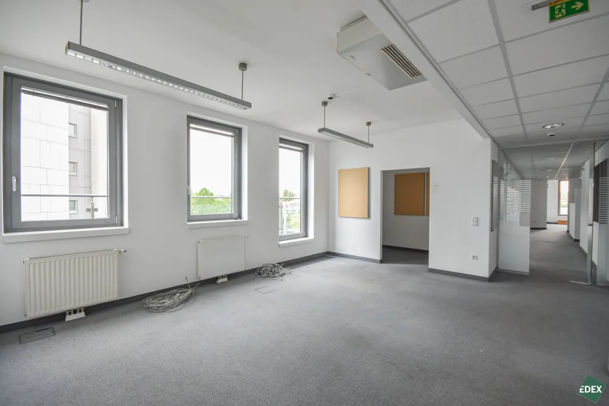 Durchdacht aufgeteilte Bürofläche mit Terrasse und optimaler Anbindung - Bild 1
