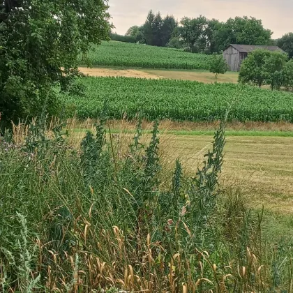 Bauernhaus mit großem Grundstück in Harmisch - Bild 2