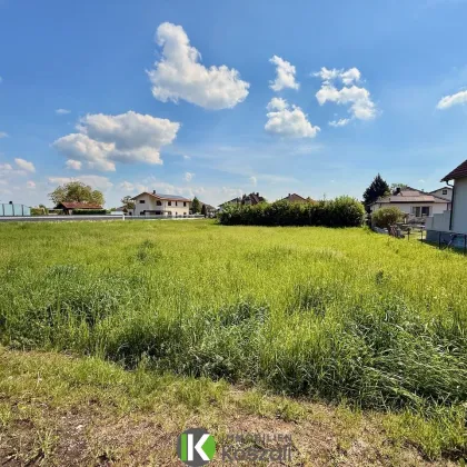 2 Baugrundstücke, eben, ruhig, Waldnah! - Bild 3