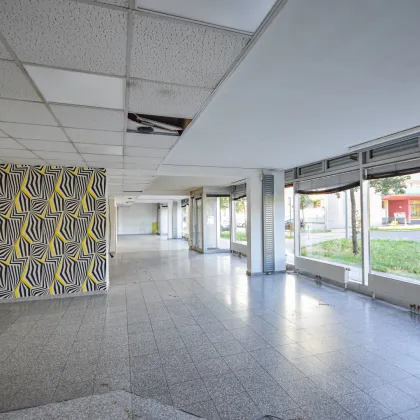 Geschäftsfläche – 310 m² am Erlaaer Platz - Bild 2