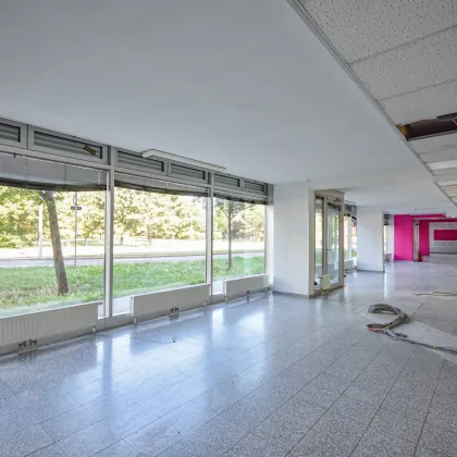Geschäftsfläche – 310 m² am Erlaaer Platz - Bild 3