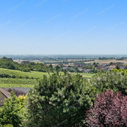 Exklusives Einfamilienhaus mit Weitblick über Wien in Hagenbrunn ! - Bild 3
