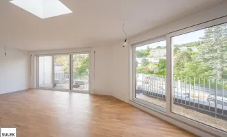 Erstbezug ab Q1/2026: exklusive 4 Zimmer Maisonette Wohnung mit Balkon und Terrasse - Projekt SCHEFFERGASSE 4 - Mödling