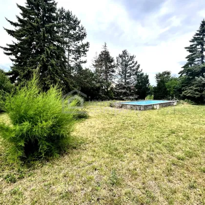 BEREITS AUFGESCHLOSSEN - Baugrundstück mit Pool wartet auf neues Haus! - Bild 2