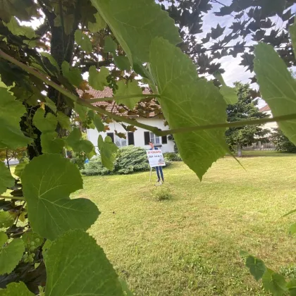 Dieses schöne Haus hat neue Eigentümer gefunden! Ihr neues Zuhause wartet! Sofort Einziehen & Wohlfühlen in Marchtrenk! - Bild 2