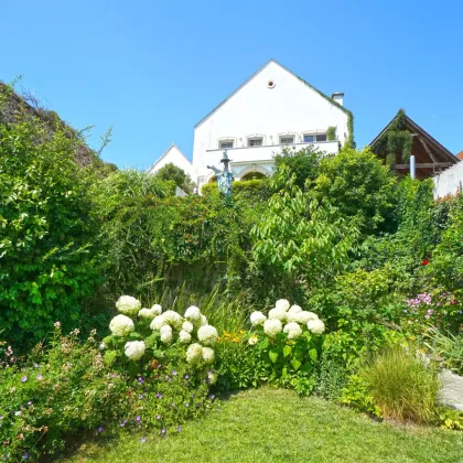 Einmalig! Stilvolle Premium-Residenz mit altem Weinhaus am Neusiedler See - Bild 2