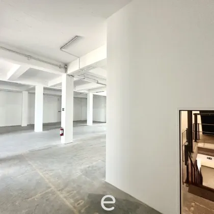 1.000,00m² Lagerhalle flexibel in Enns zu vermieten! - Bild 3