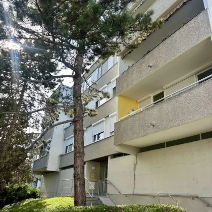 LICHTDURCHFLUTETES 4 ZIMMER EIGENTUM IN TOPZUSTAND - DIREKT AM KURPARK BAD VÖSLAU - Bild 3