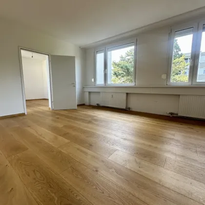 LICHTDURCHFLUTETES 4 ZIMMER EIGENTUM IN TOPZUSTAND - DIREKT AM KURPARK BAD VÖSLAU - Bild 2